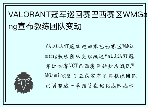 VALORANT冠军巡回赛巴西赛区WMGaming宣布教练团队变动